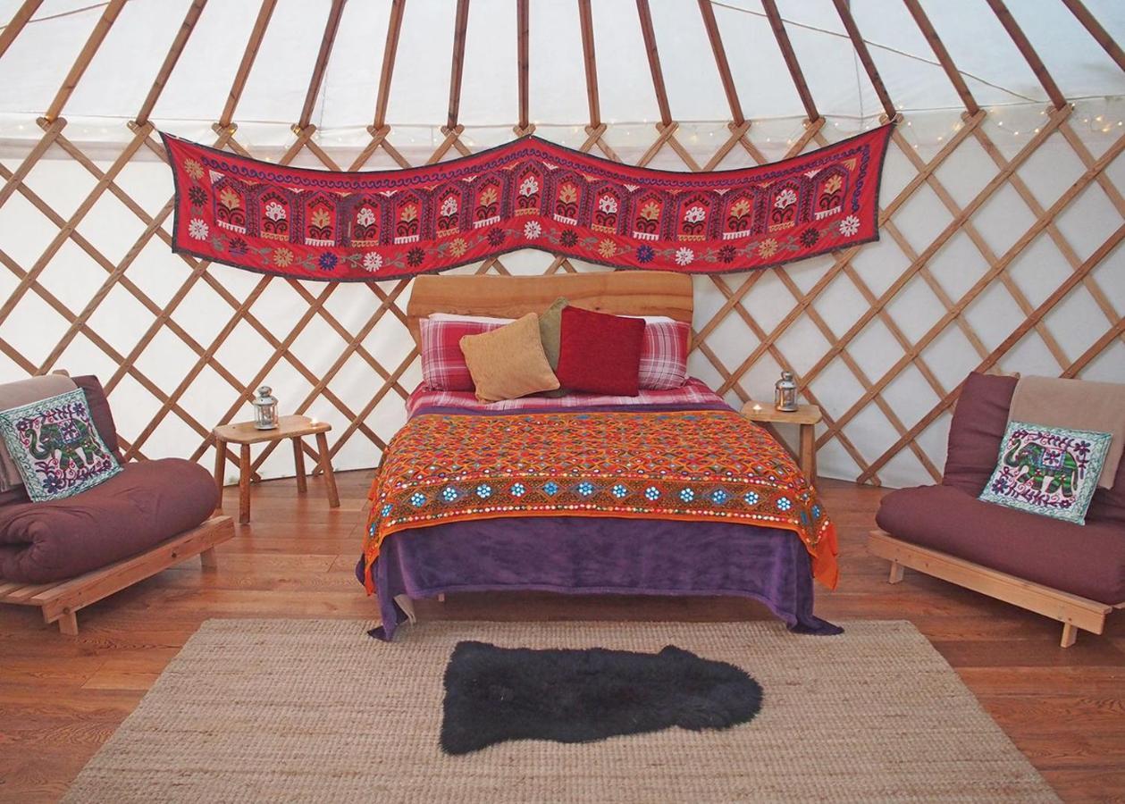 Florence Springs Glamping Gumfreston Buitenkant foto